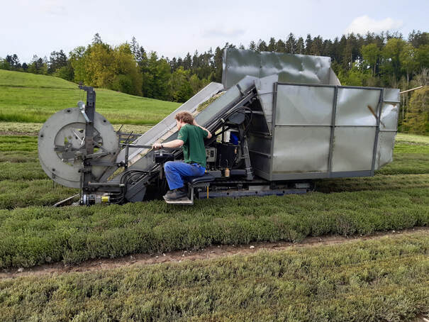 Birlihof - Mitarbeiterinnen und Mitarbeiter
